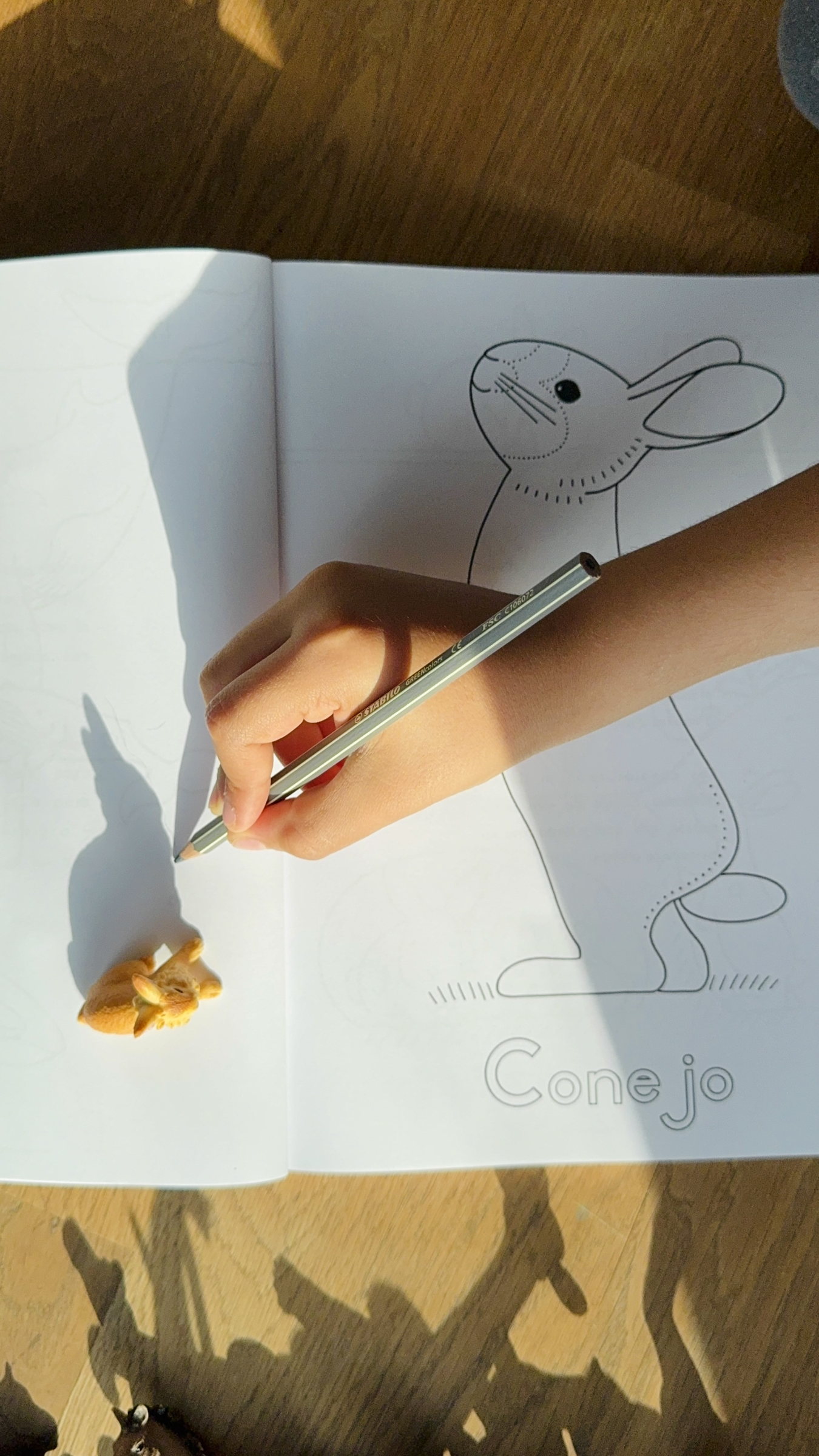 A child coloring a rabbit page in a book